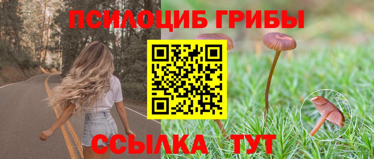 Всеволожск  Галлюциногенные грибы Cubensis  Вход с VPN  Псилоцибиновые грибы мухоморы 
